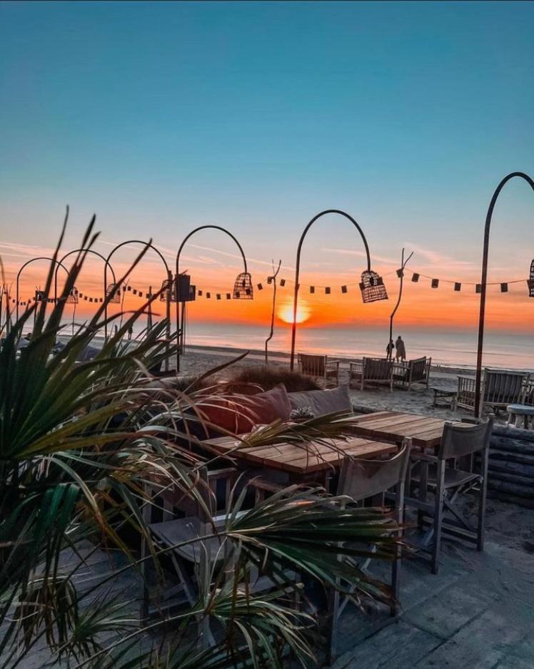 Noordster Beachhouse Noordwijk Eksteriør billede