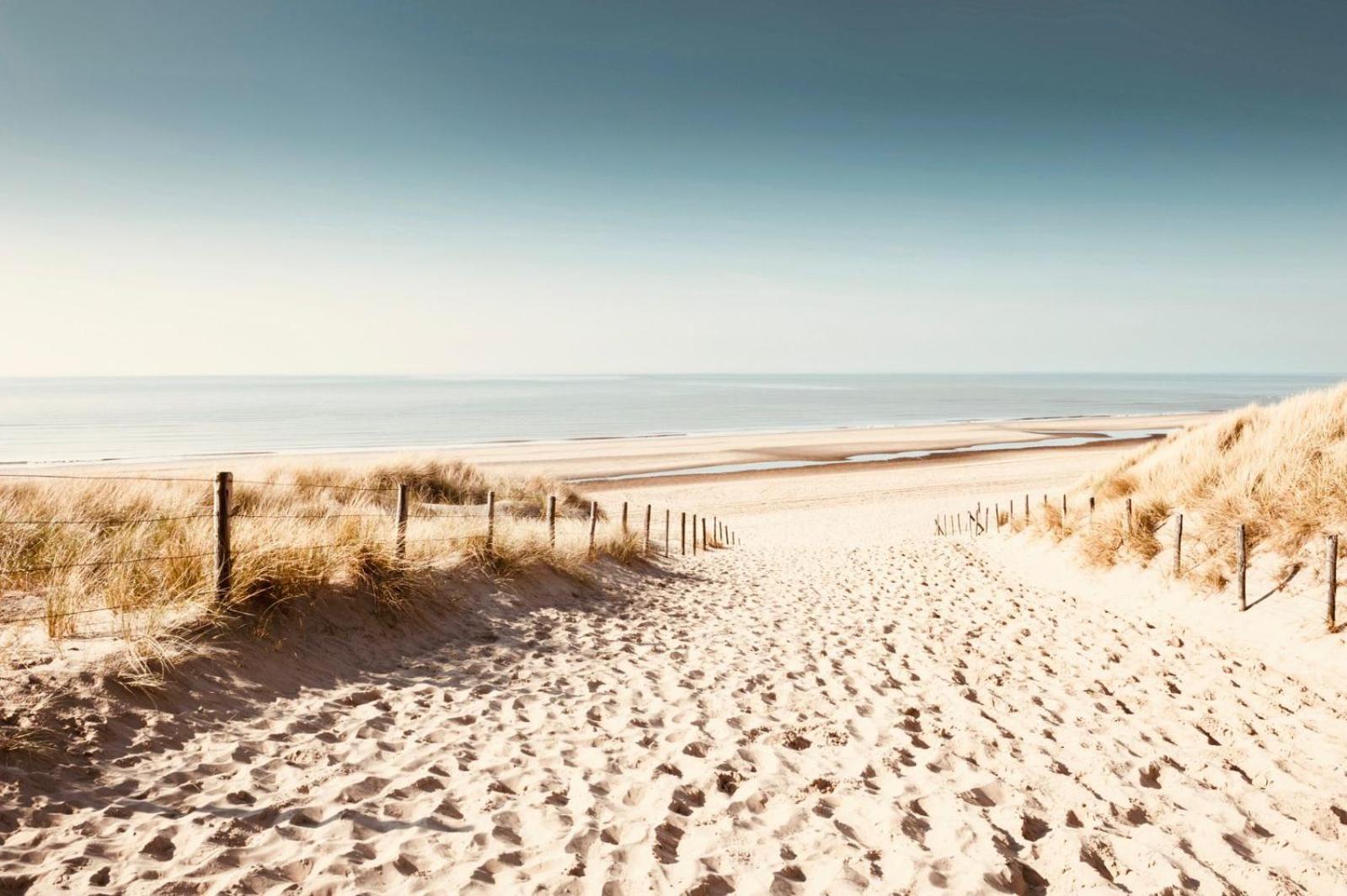 Noordster Beachhouse Noordwijk Eksteriør billede
